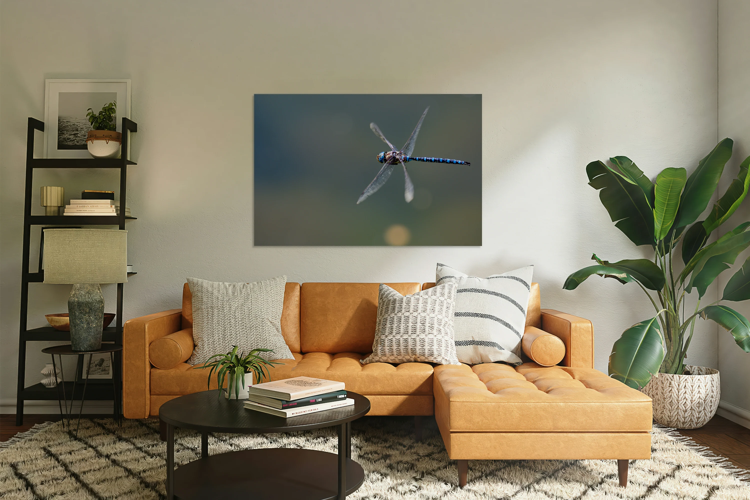 Dragonfly