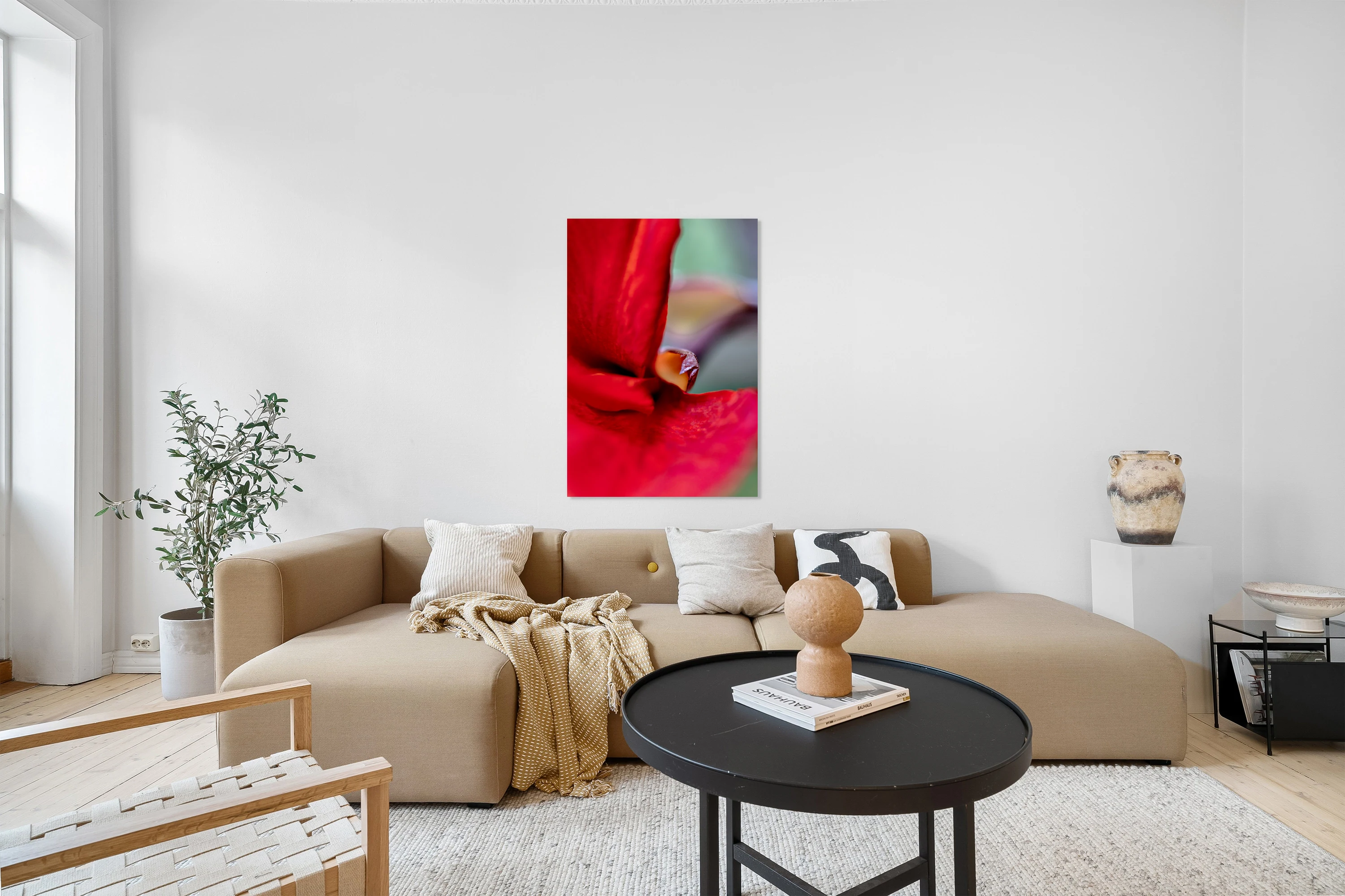 macro rouge 01 15