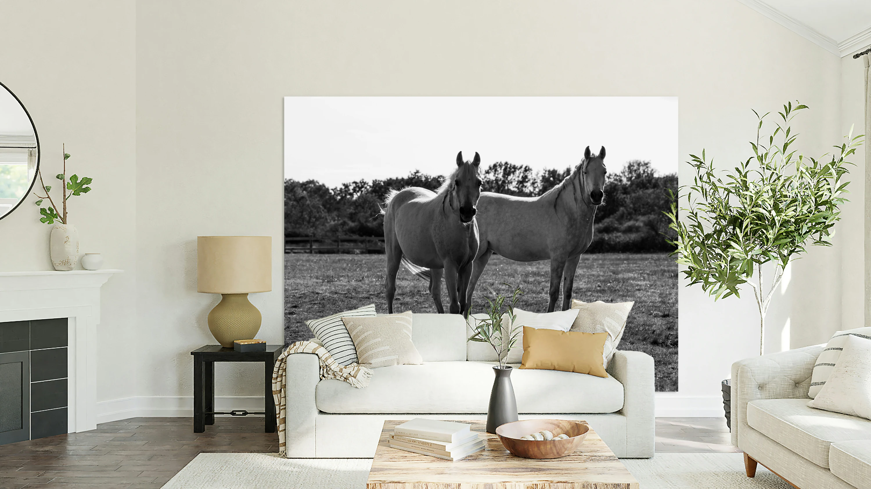 HORSE  11