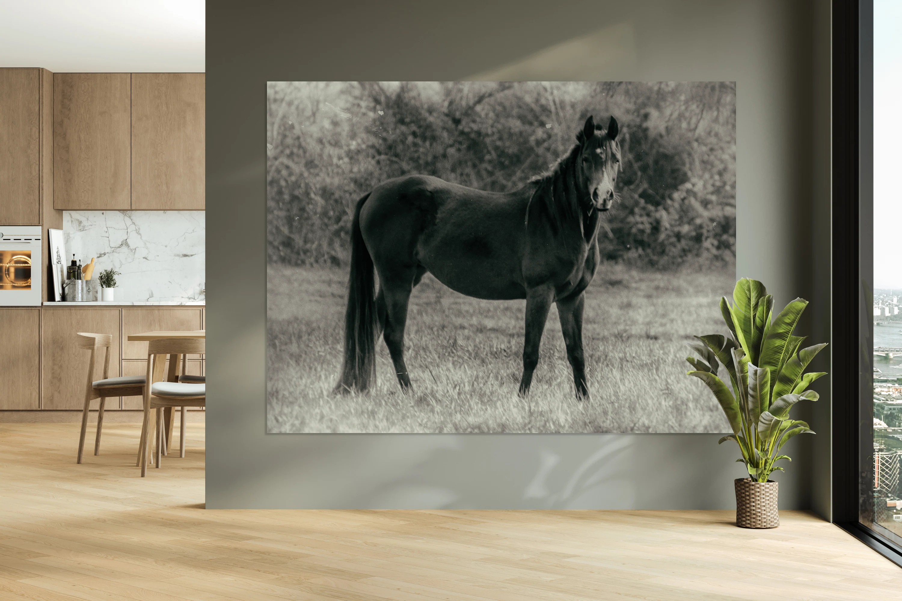 HORSE  21