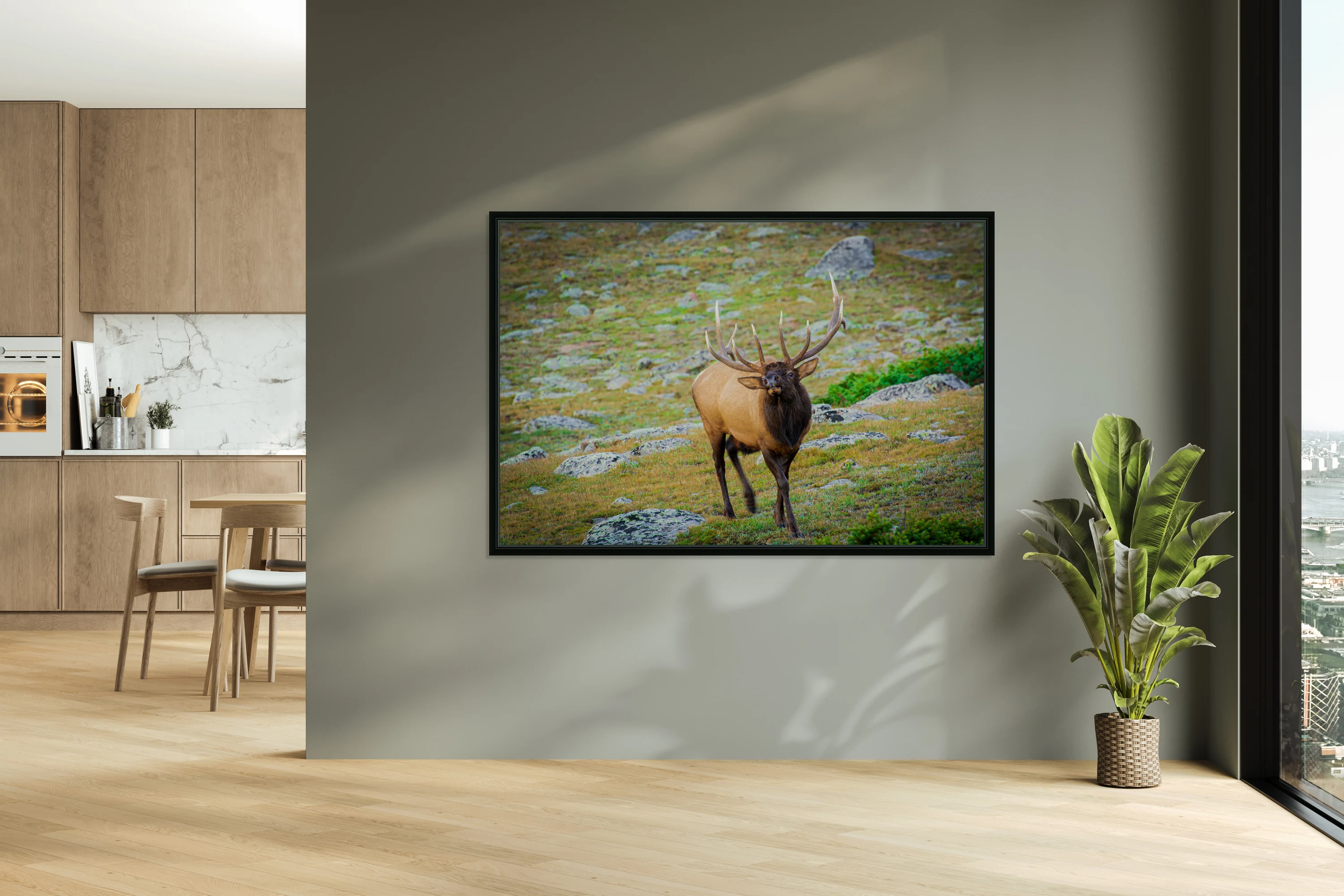 Bugling Elk