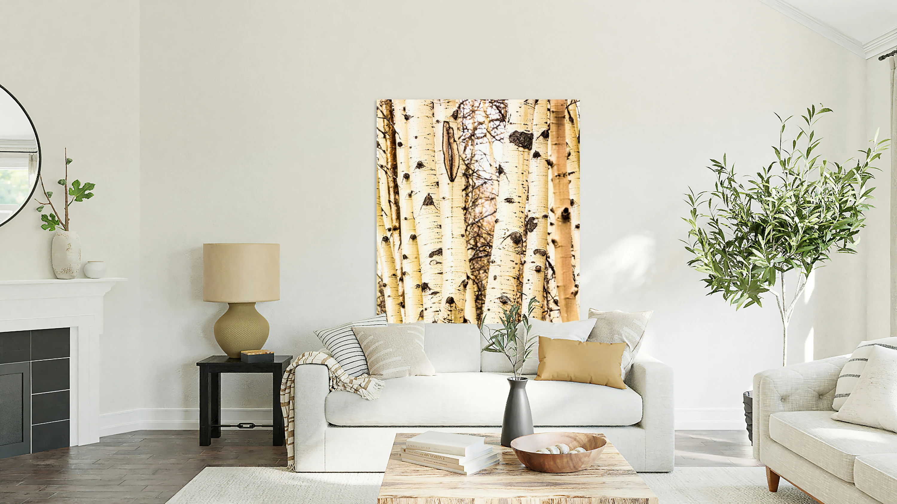 Aspen Trunks