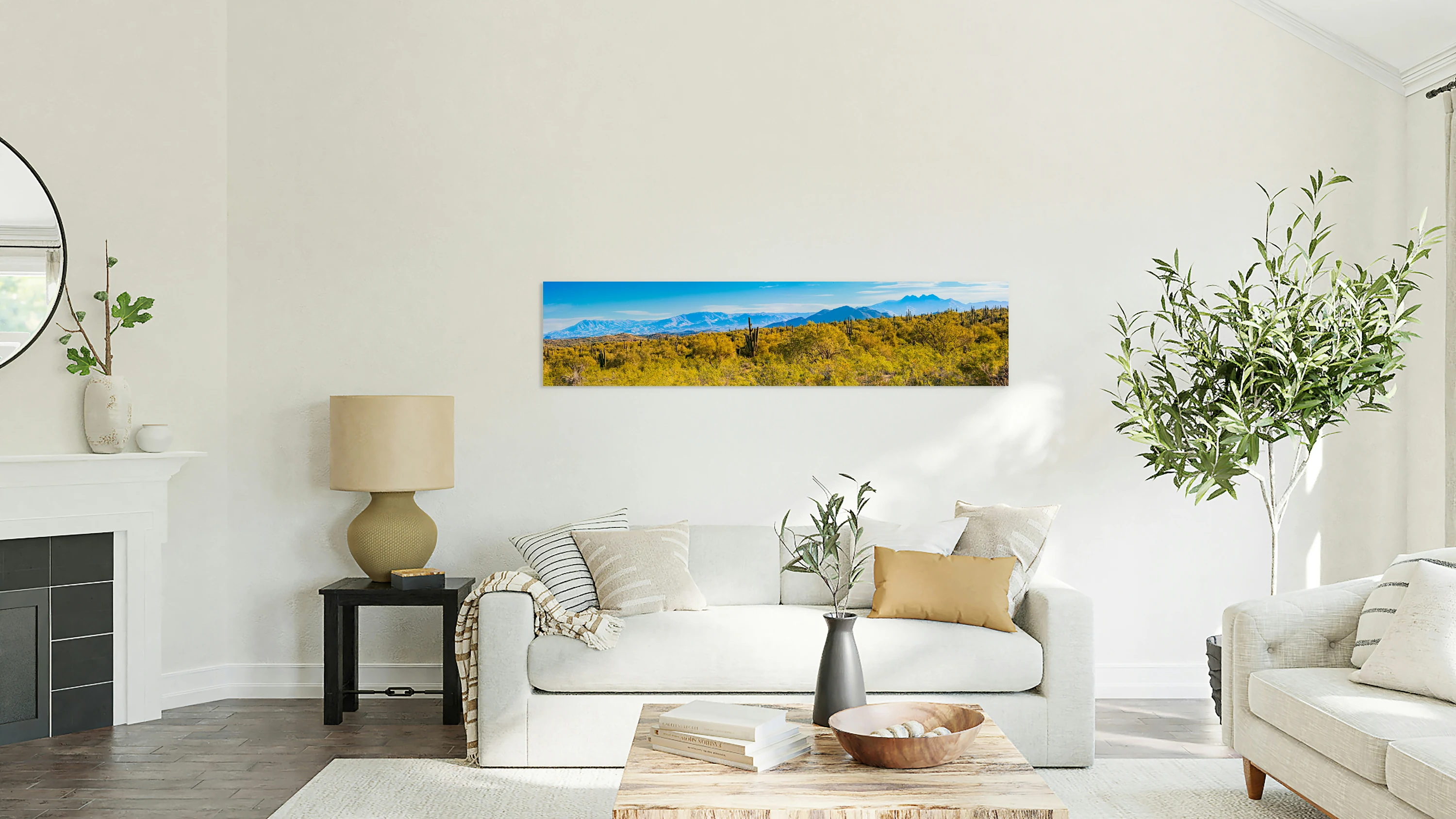 Desert And Mountains
