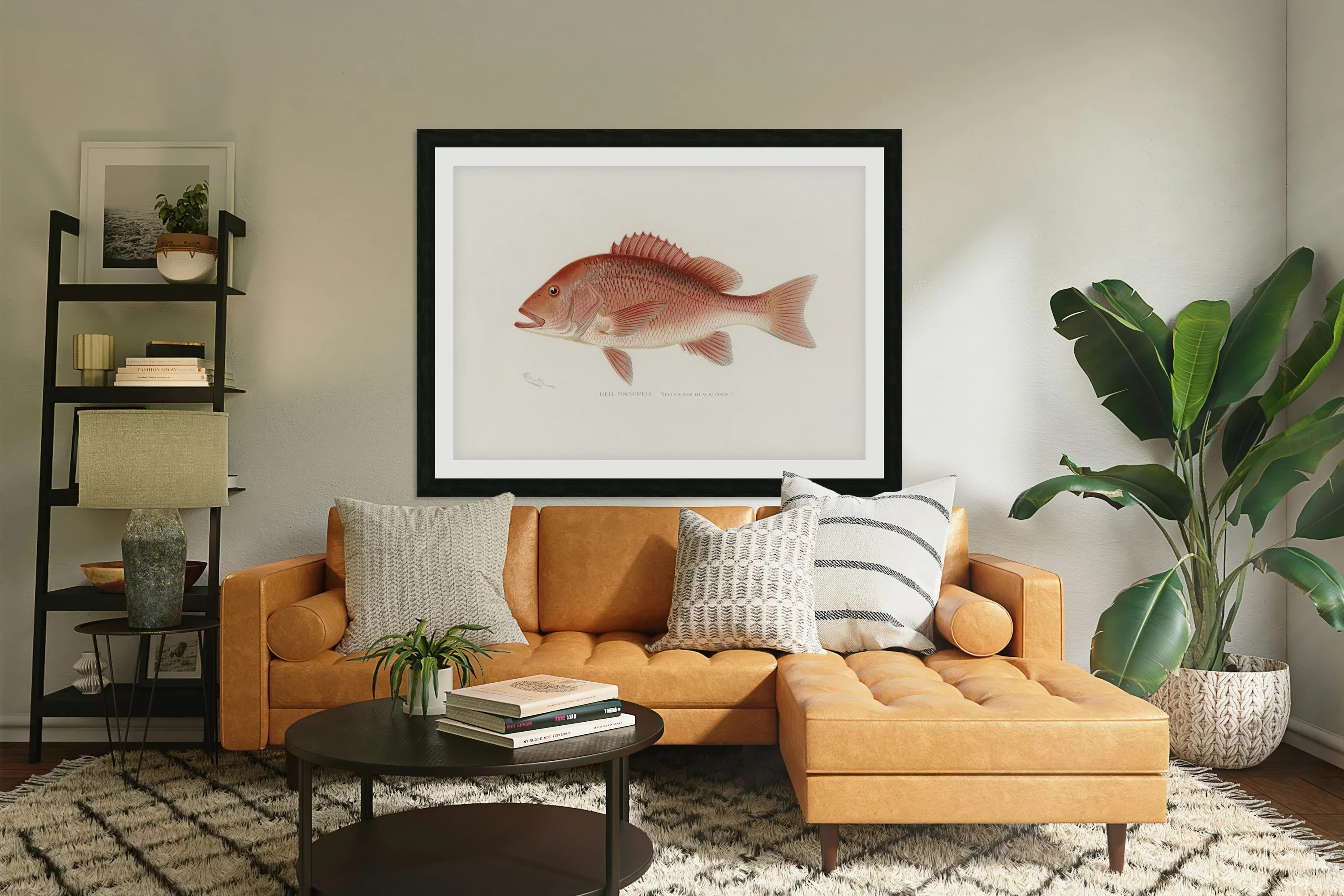 Red Snapper