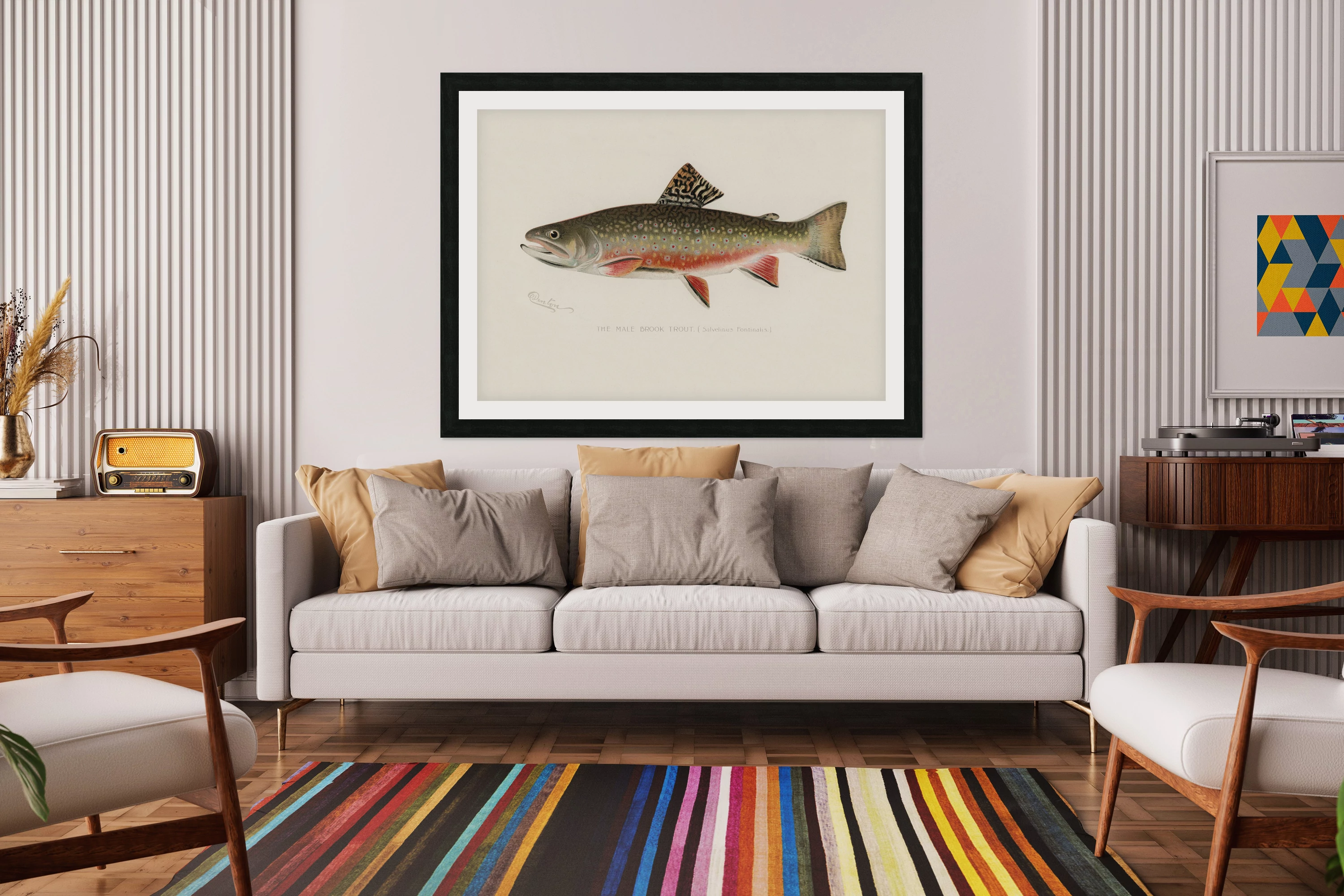 Male Brook Trout