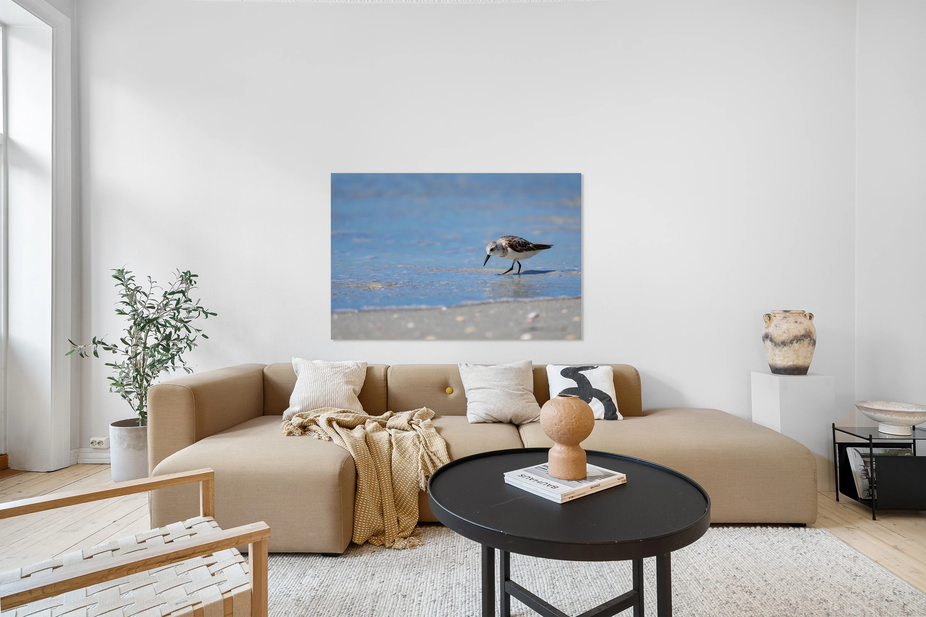 Sandpiper