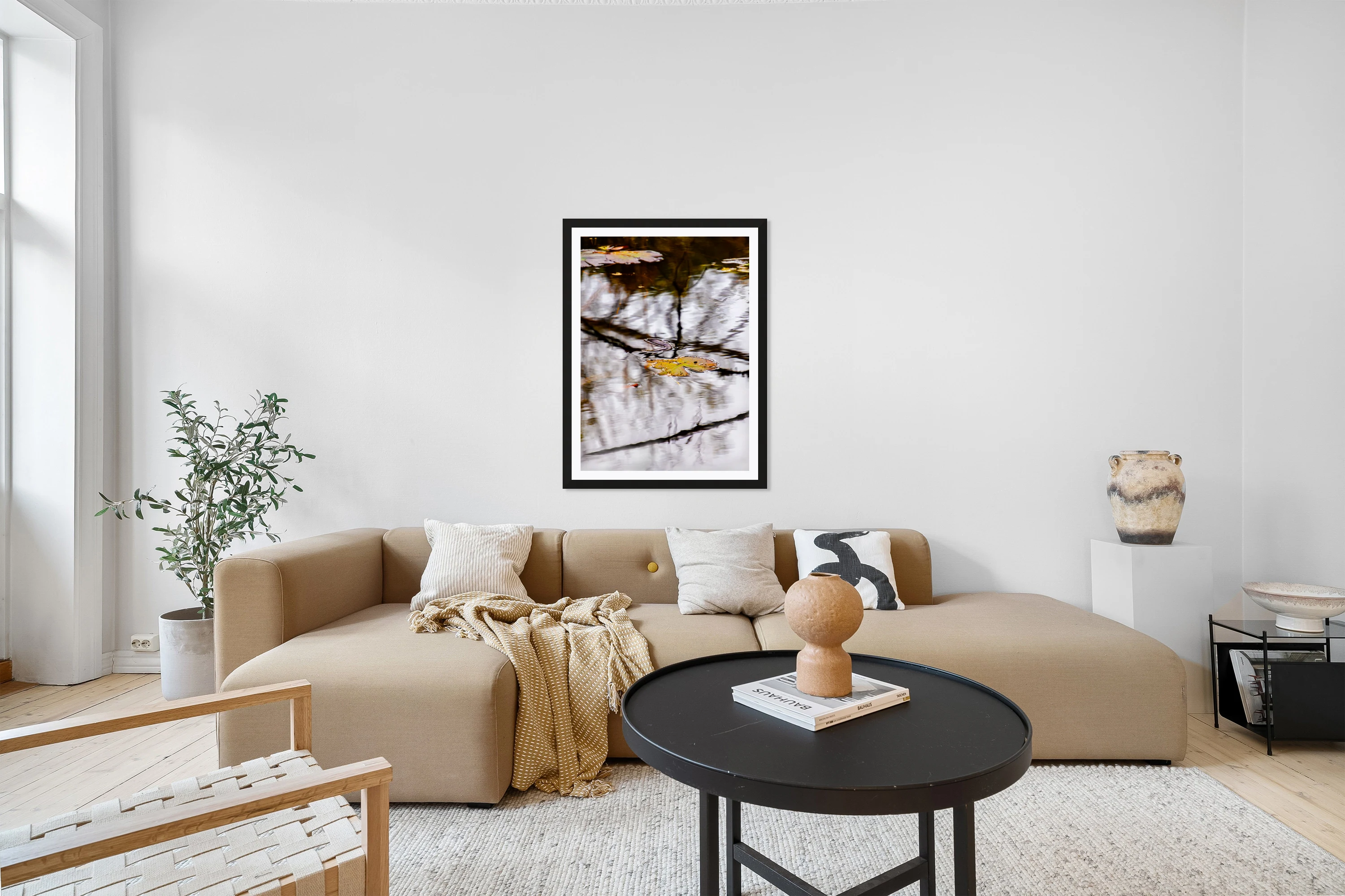 Floating Flora in Winter