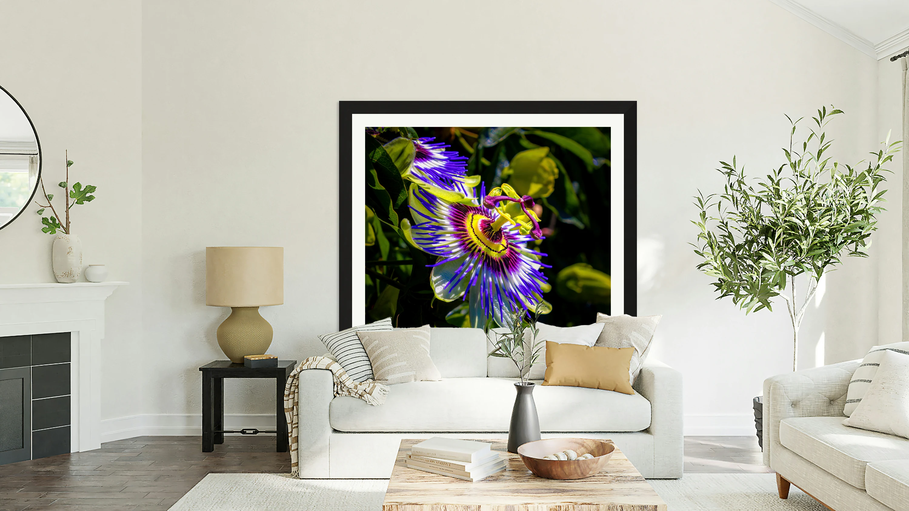 Passion Flower Passiflora 