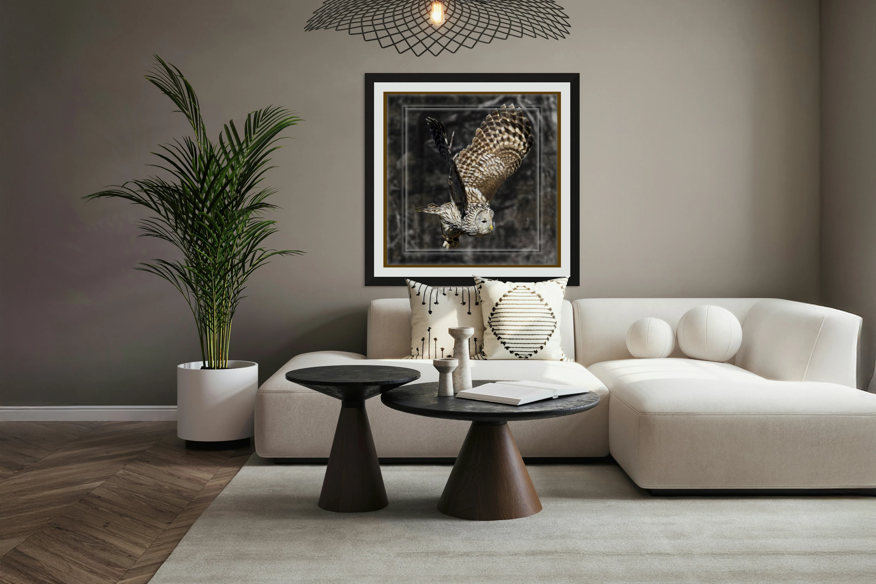 Double Framed Barred Owl