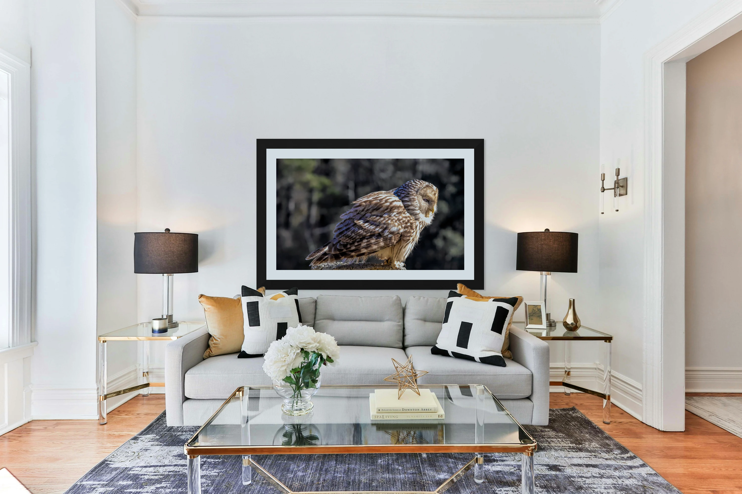 Barred Owl Portrait