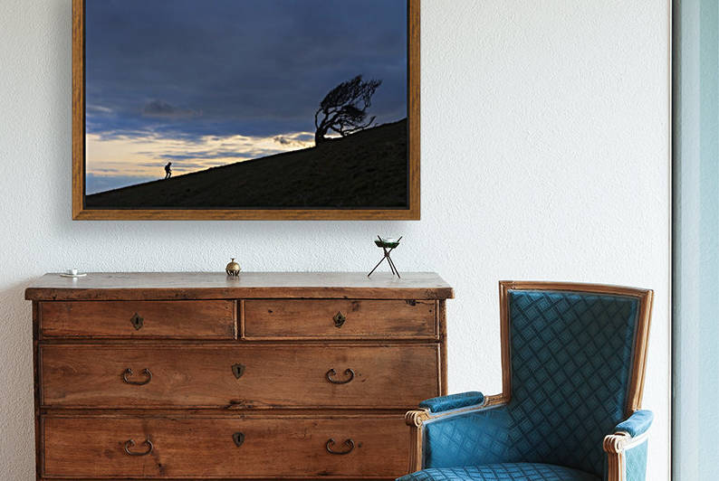 Silhouette of woman walking uphill past gnarled tree near Golden Cap on the Jurassic Coast; Seatown, Dorset, England by PacificStock