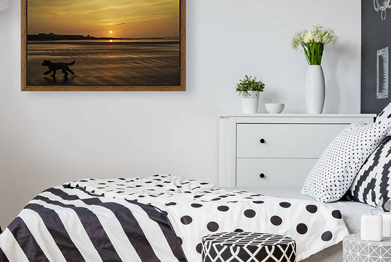 A dog runs across a wet beach with the golden sun setting in an orange sky along the coast and Bamburgh Castle in the distance; Bamburgh, Northumberland, England by PacificStock