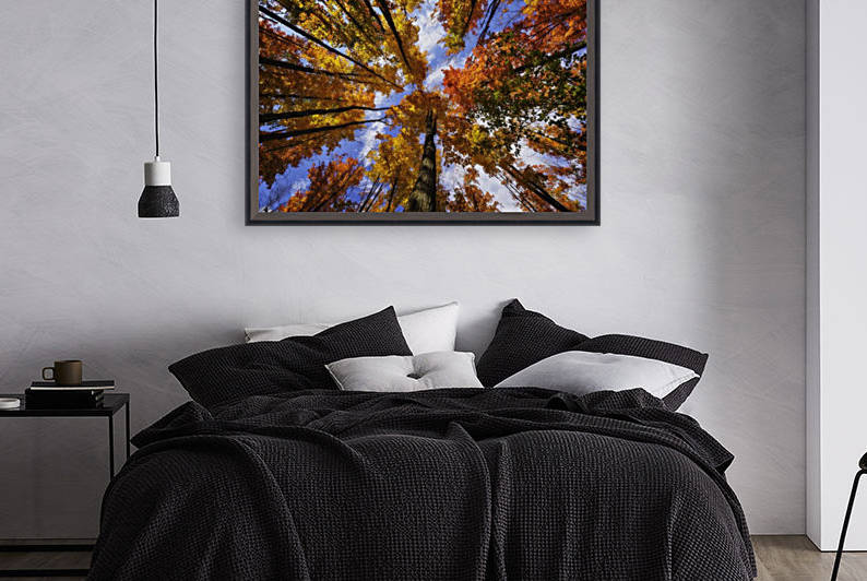 The very colourful canopy of the Ontario forests in autumn; Ontario, Canada by PacificStock