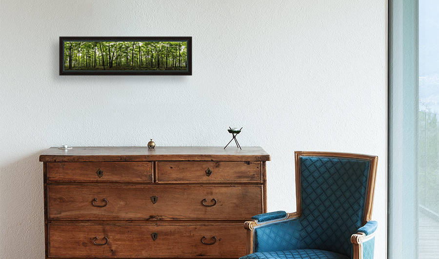 Panoramic image of a deciduous forest; Ontario, Canada by PacificStock