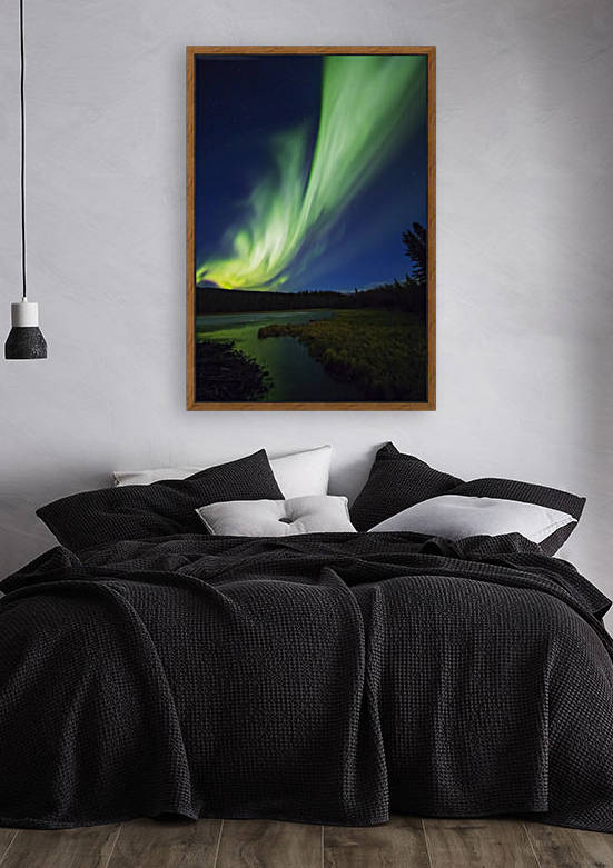 A bright band of aurora borealis stretches across the sky over a frozen beaver pond; Alaska, United States of America by PacificStock