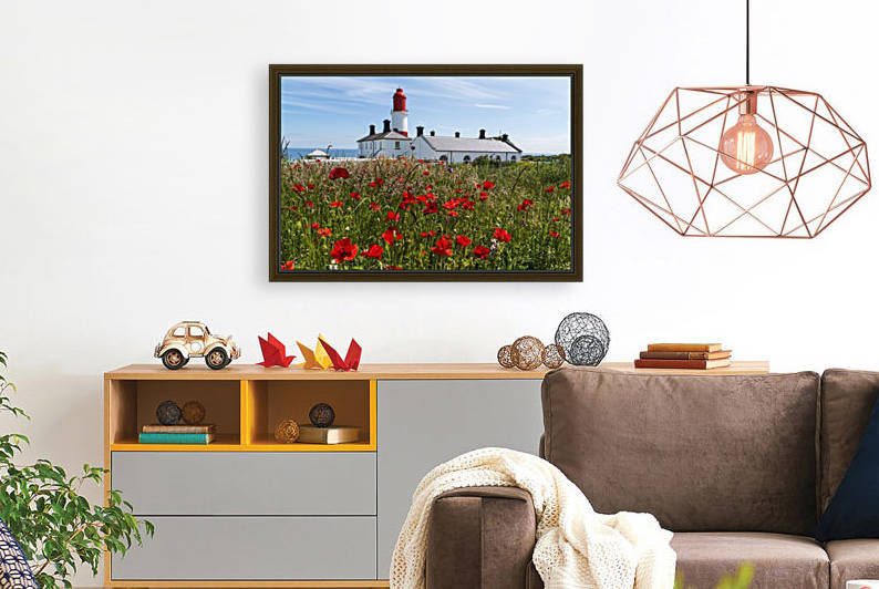 Souter Lighthouse with a field of red poppies in the foreground; South Shields, Tyne and Wear, England by PacificStock