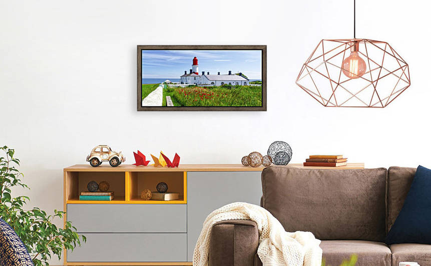 Souter Lighthouse with a field of red poppies in the foreground; South Shields, Tyne and Wear, England by PacificStock