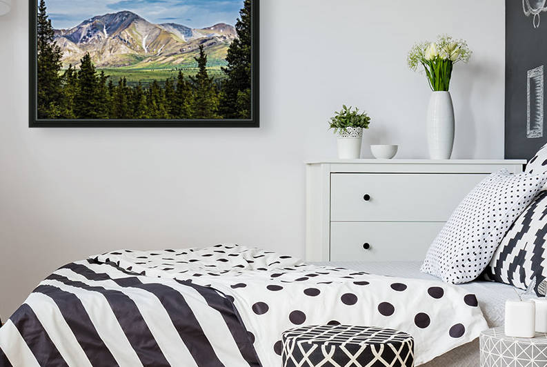 A scenic view of the Alaska Range in Denali National Park near the Savage River on a summer day in South-central Alaska; Alaska, United States of America by PacificStock