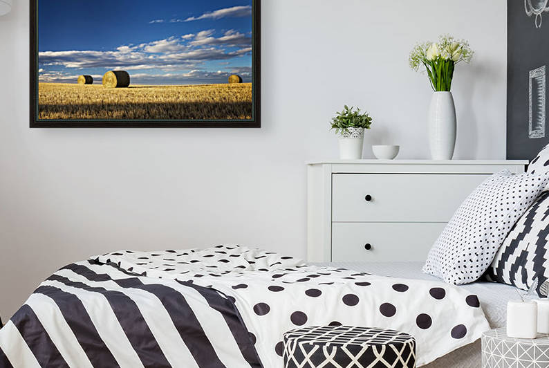 Hay bales in a clear cut field highlighted by the sun with dramatic clouds and blue sky; Alberta, Canada by PacificStock