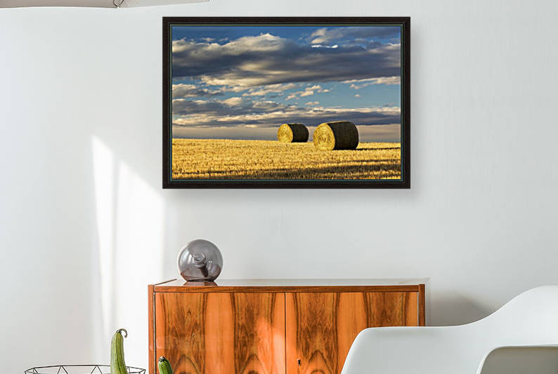 Hay bales in a clear cut field highlighted by the sun with dramatic clouds and blue sky; Alberta, Canada by PacificStock