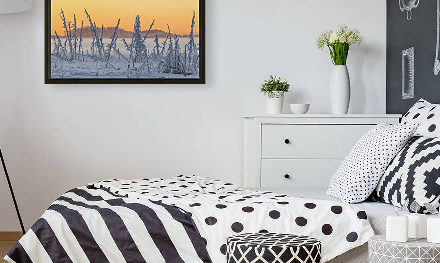 Hoarfrost covers black spruce trees as ground fog and dusk descend on Palmer Hay Flats in South-central Alaska in winter; Alaska, United States of America by PacificStock