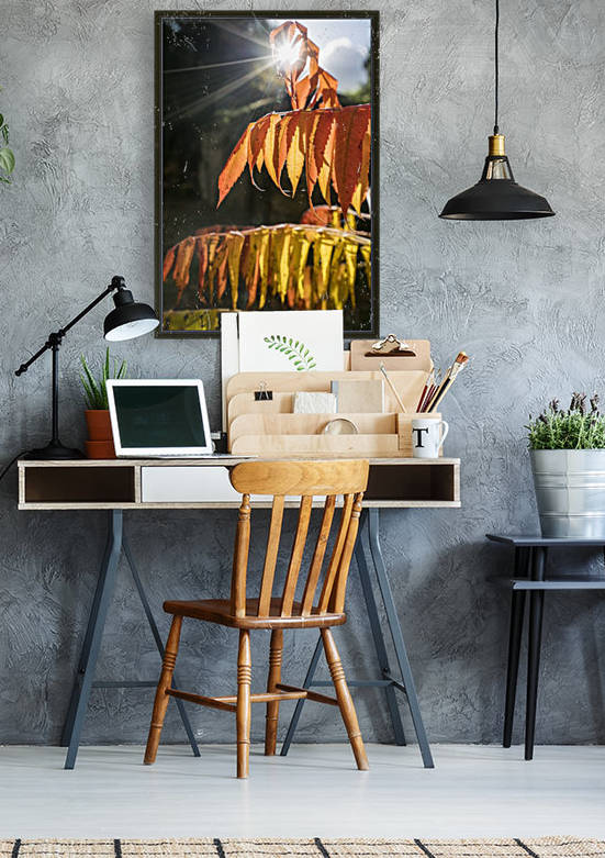 Brown leaves drooping from their branches backlit by the sunlight; North Yorkshire, England by PacificStock