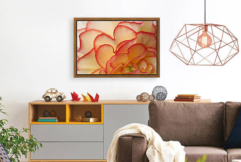 Macro View Of Begonia Petals, Girdwood, Southcentral Alaska, Summer by PacificStock