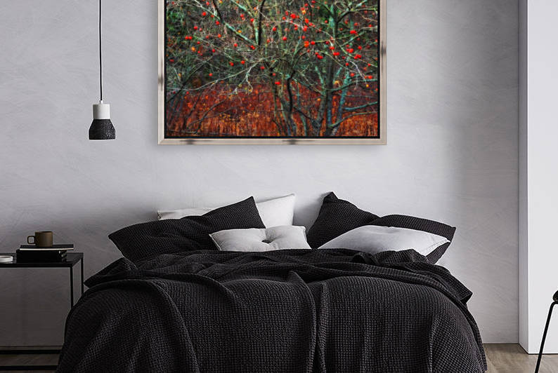 Wild apple tree in November; Bedford, Nova Scotia, Canada by PacificStock