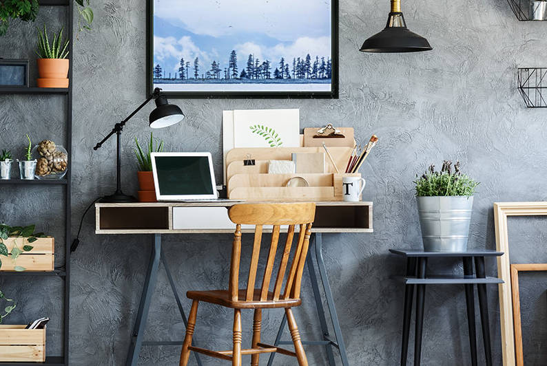 A bird flies above trees under a cloudy sky and fog on the coast of Resurrection Bay, South-central Alaska; Seward, Alaska, United States of America by PacificStock