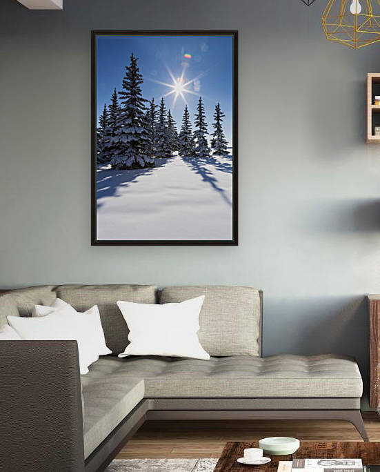 Snow covered evergreen trees on a snow covered hillside with blue sky and sun burst; Calgary, Alberta, Canada by PacificStock