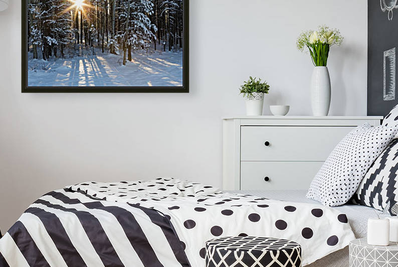 Sunburst coming through a snow covered forest; Kananaskis Country, Alberta, Canada by PacificStock