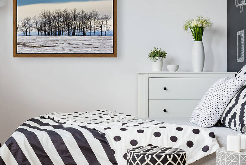 A row of trees in a snow covered field with a bank of cloud and blue sky in the background; Calgary, Alberta, Canada by PacificStock