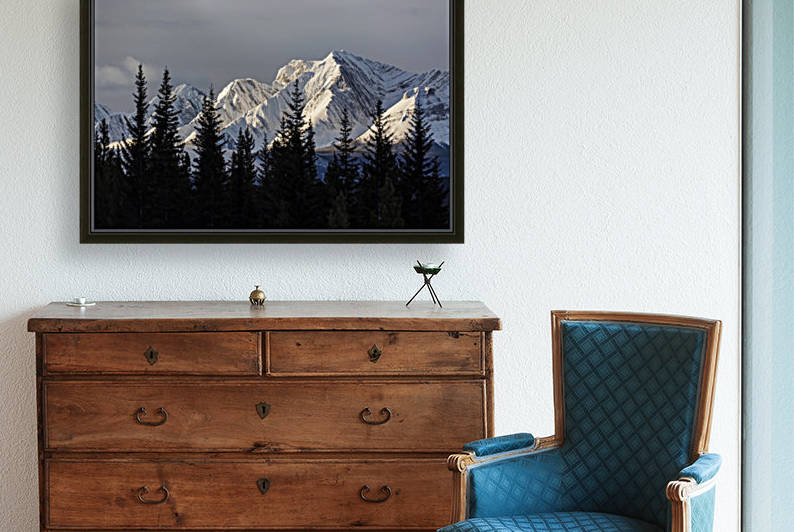 Snow covered mountains with early morning light, silhouetted forest in the foreground; Kananaskis Country, Alberta, Canada by PacificStock