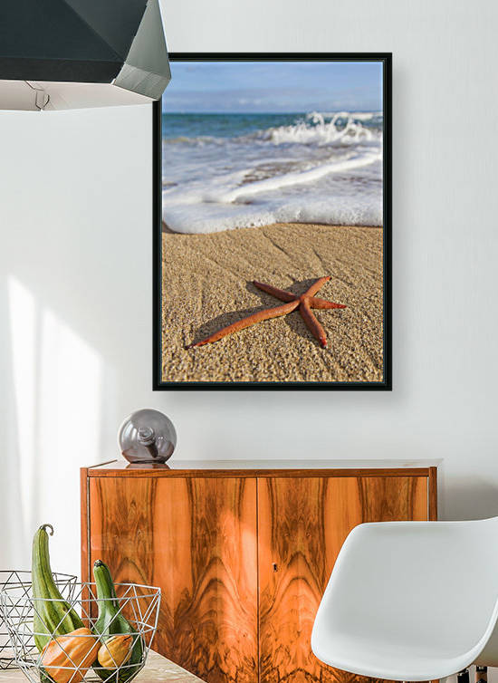 A red live Finger Starfish, also known as Linckia Sea Star, found along a sandy beach with white ocean tide washing up; Honolulu, Oahu, Hawaii, United States of America by PacificStock