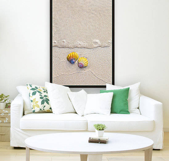 A set of two rare Hawaiian Sunrise Scallop Seashells, also known as Pecten Langfordi, in the sand at Lanikai beach; Honolulu, Oahu, Hawaii, United States of America by PacificStock
