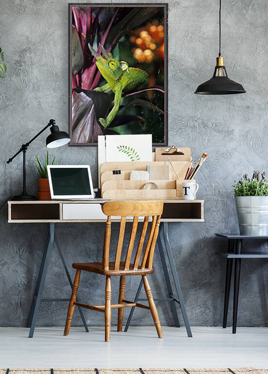 Hawaii, Maui, Jackson's Chameleon On Red Ti-Leaf Plant. by PacificStock