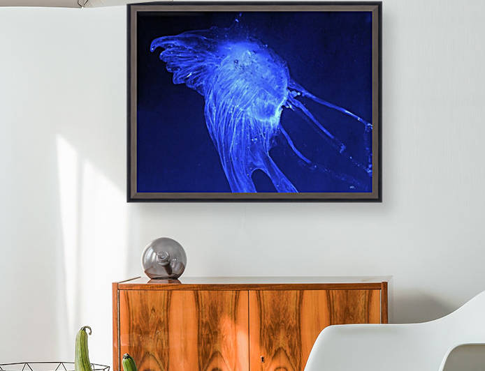 Glowing blue jellyfish in the dark water by PacificStock