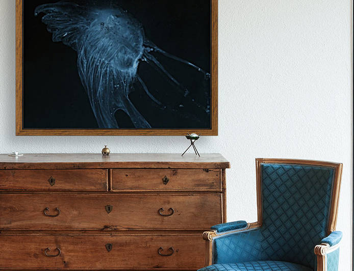 Glowing blue jellyfish in the dark water by PacificStock