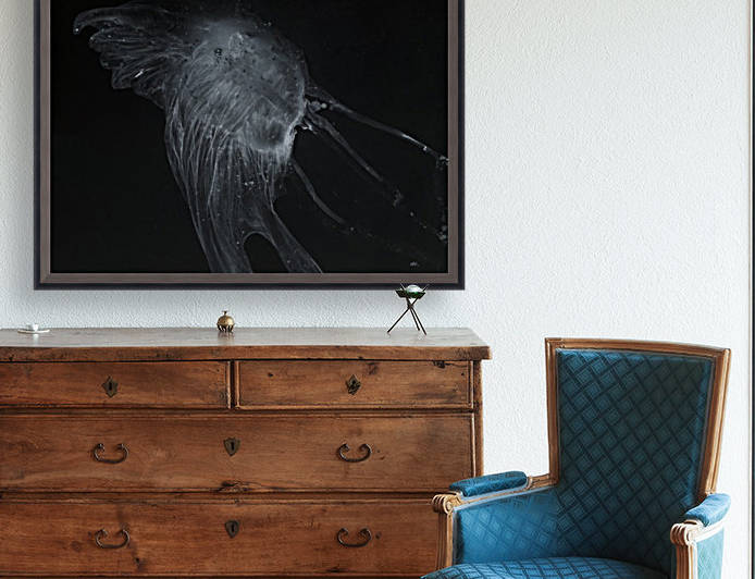 Glowing grey jellyfish in the dark water by PacificStock