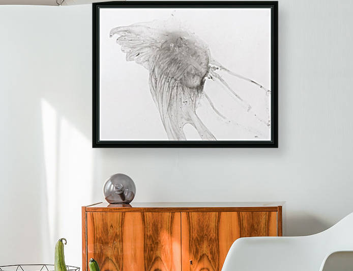 Jellyfish against a white background by PacificStock