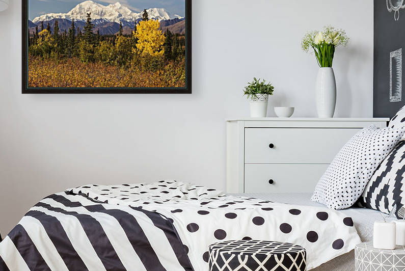 Denali, viewed from south of Cantwell, from the Parks Highway in Interior Alaska; Alaska, United States of America by PacificStock