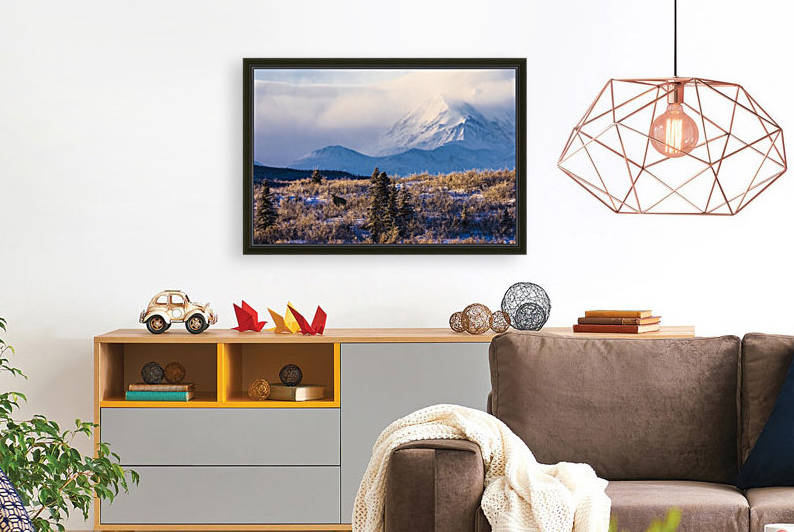 A moose (alces alces) forages on a winter morning with the Alaska Range in the background partially enshrouded in clouds; Alaska, United States of America by PacificStock