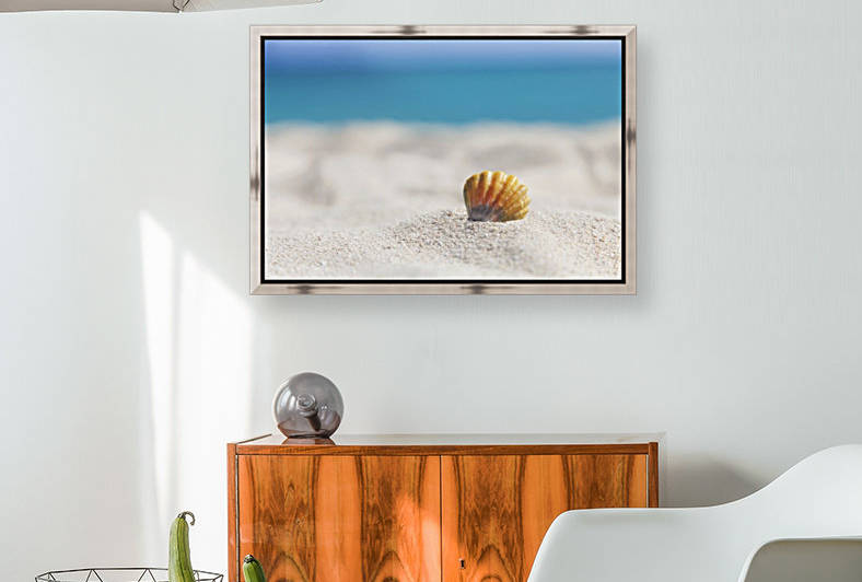 A rare rainbow color Hawaiian Sunrise Scallop Seashell, also known as Pecten Langfordi, in the sand at the beach at sunrise; Honolulu, Oahu Hawaii, United States of America by PacificStock