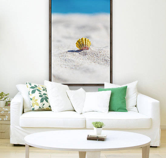 A rare rainbow color Hawaiian Sunrise Scallop Seashell, also known as Pecten Langfordi, in the sand at the beach at sunrise; Honolulu, Oahu Hawaii, United States of America by PacificStock