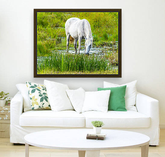 Wild Wetland Stallion by Melody Rossi