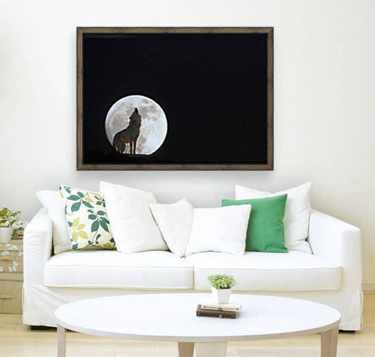 10716 by PacificStock