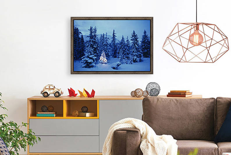 Spruce Tree In Forest With Christmas Lights Ak Winter by PacificStock