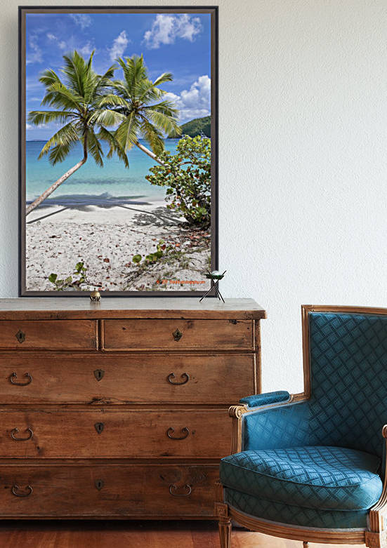 Maho Twins by T Franklin Photography