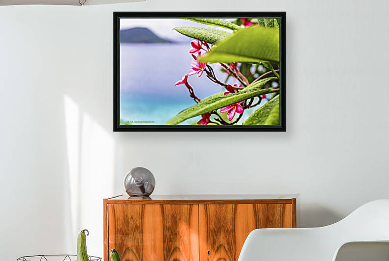 Annaberg Frangiapani by T Franklin Photography