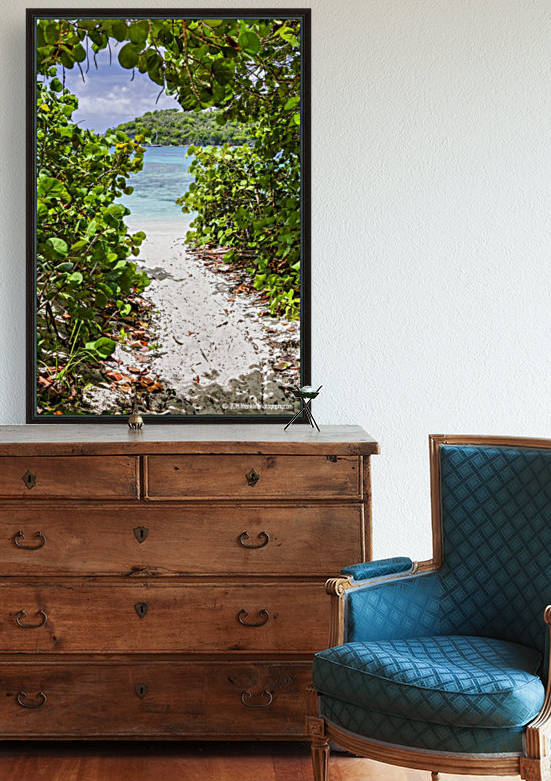 Hawksnest Eastern Beach Path by T Franklin Photography